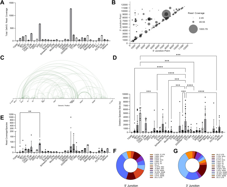 Deletion viral genome diversity among bovine viral diarrhea virus (BVDV) 1a and 1b strains.