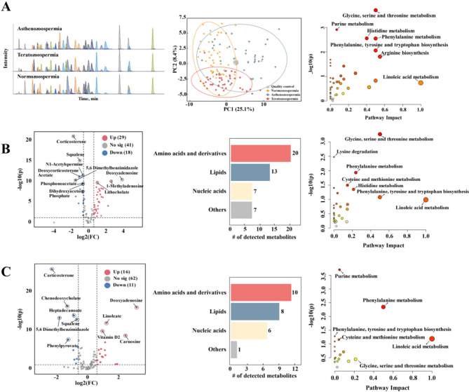 Sperm metabolomic signatures of asthenozoospermia and teratozoospermia in Chinese reproductive-age men.