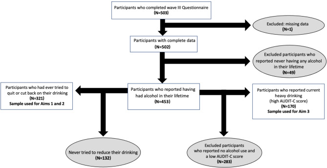 Alcohol reduction strategies among persons with hiv: past attempts, self-reported effectiveness, and future strategies of interest.