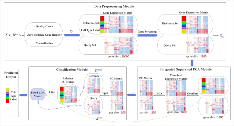 PCLDA: An interpretable cell annotation tool for single-cell RNA-sequencing data based on simple statistical methods.