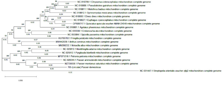 Whole genome sequencing and assembly of the house sparrow, <i>Passer domesticus</i>.