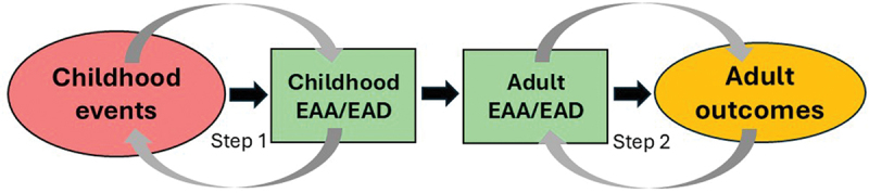 Epigenetic age acceleration and psychosocial stressors in early childhood.