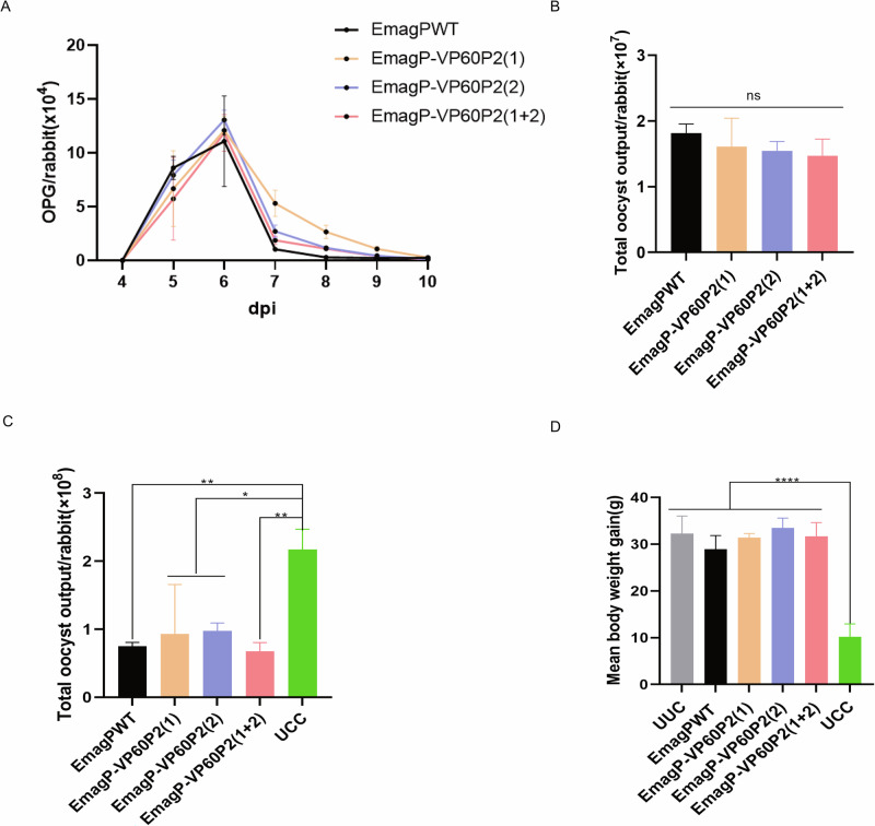 Precocious Eimeria magna transgenically expressing RHDV P2 subdomain induces immune responses in rabbits.