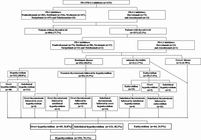 Risk factors and outcomes of thyroid immune-related adverse events following PD-1/PD-L1 inhibitors treatment in a large tertiary Chinese center.