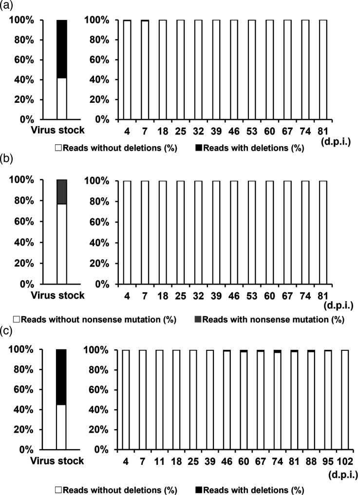 Changes in ORF4 of HCoV-229E under different culture conditions.