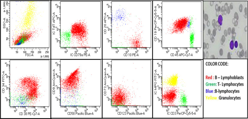 Cytogenetic finding of simultaneous inversion of chromosome 14 and tetrasomy 8 in a Pediatric B-Lymphoblastic Leukemia-a case report.