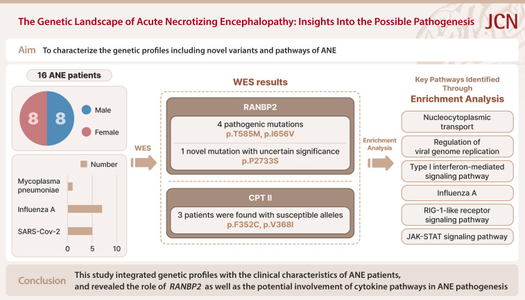 The Genetic Landscape of Acute Necrotizing Encephalopathy: Insights Into the Possible Pathogenesis.