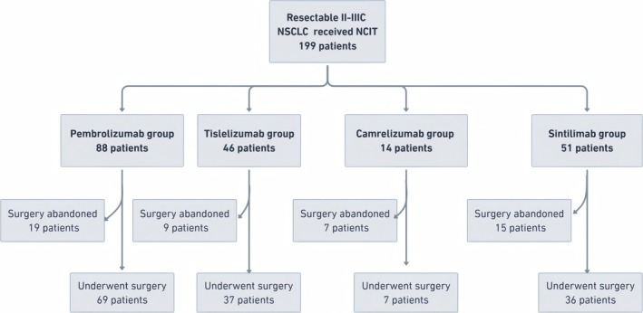 Comparative Efficacy of PD-1 Inhibitor-Based Neoadjuvant Chemoimmunotherapy Regimens for Resectable Stage II-IIIa NSCLC: A Real-World Retrospective Study.