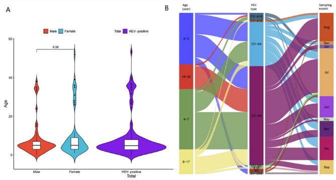 Molecular epidemiology, coinfection, and diversity of enteroviruses detected in respiratory samples collected from patients with influenza-like illness in Hangzhou, China, in 2023.