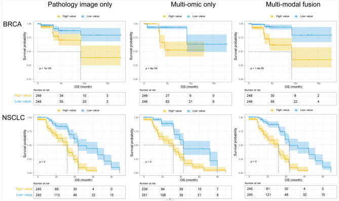 Decision level scheme for fusing multiomics and histology slide images using deep neural network for tumor prognosis prediction.