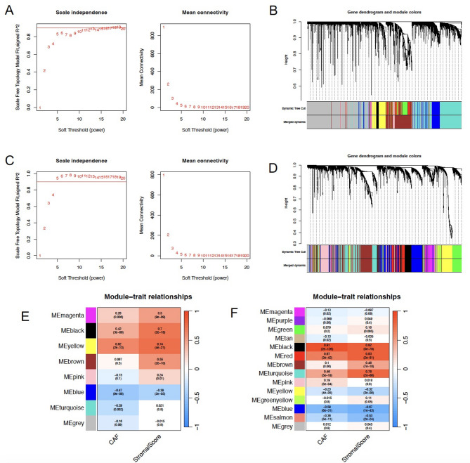 Stromal PLAU mediates tumor progression and informs a novel therapeutic target in triple-negative breast cancer.