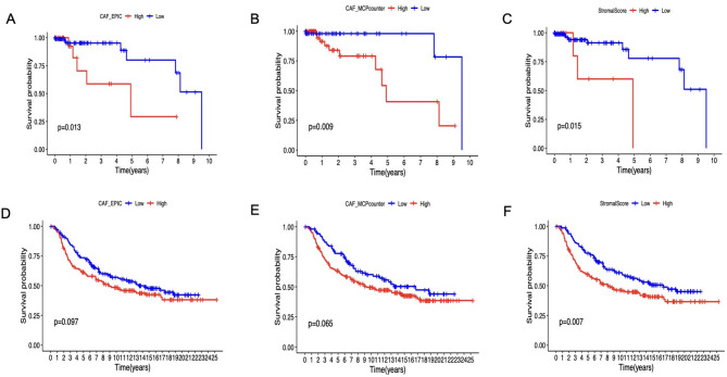 Stromal PLAU mediates tumor progression and informs a novel therapeutic target in triple-negative breast cancer.