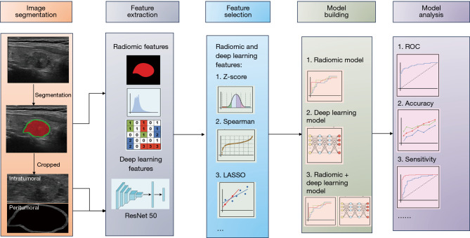 Development and validation of a prediction model for lymph node metastasis in thyroid cancer: integrating deep learning and radiomics features from intra- and peri-tumoral regions.