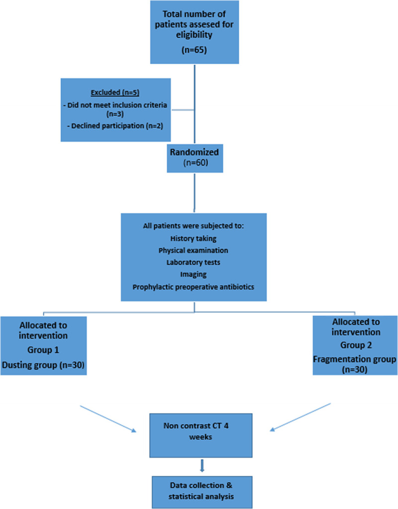 Dusting versus fragmentation for large proximal ureteral stones during flexible ureteroscopy: A prospective randomized study.