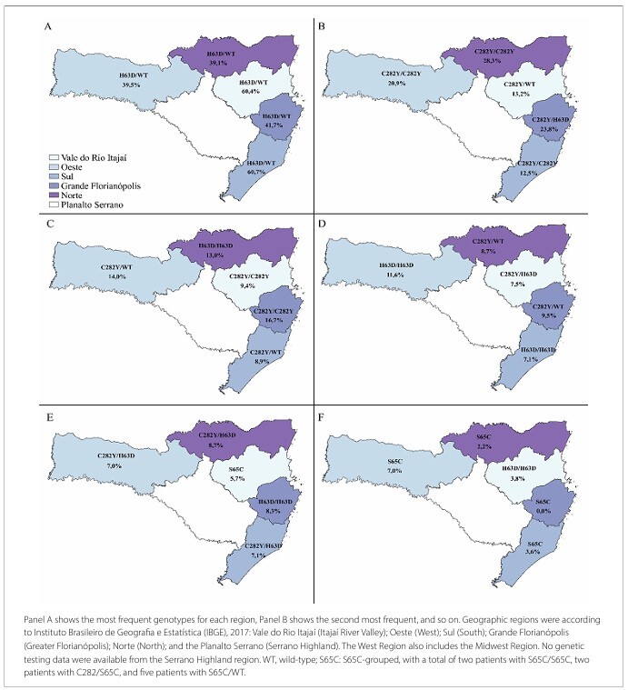 HFE mutations in patients with iron overload in Santa Catarina: a cross-sectional study.
