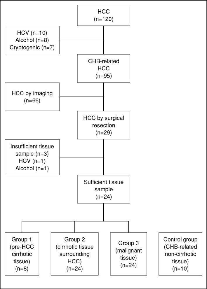 Predicting hepatocellular carcinoma development in advanced fibrosis or cirrhosis due to chronic hepatitis B: The role of glypican-3, heat shock protein 70, CD34, and glutamine synthetase.