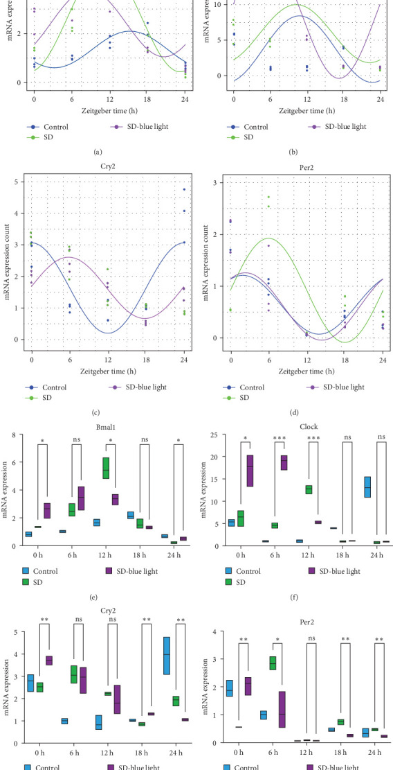 ipRGCs Sensitive Blue Light Exposure Promotes the Robustness of Circadian and Neural Stem Cells in Sleep Deprived Conditions.