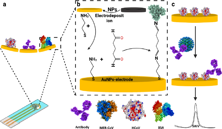 Nano-modified biosensors for detection of pathogenic diseases: The prospect of smart, multiplex and point-of-care testing.