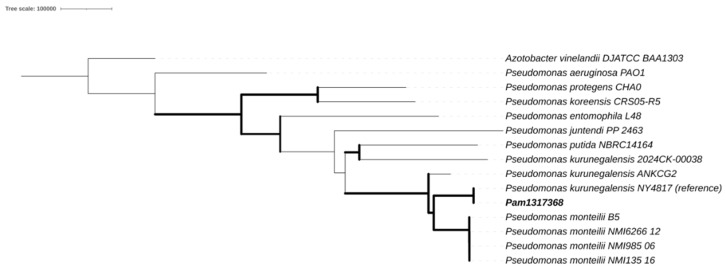 Characterization of <i>Pseudomonas kurunegalensis</i> by Whole-Genome Sequencing from a Clinical Sample: New Challenges in Identification.