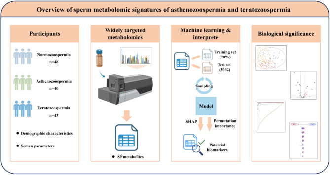 Sperm metabolomic signatures of asthenozoospermia and teratozoospermia in Chinese reproductive-age men.