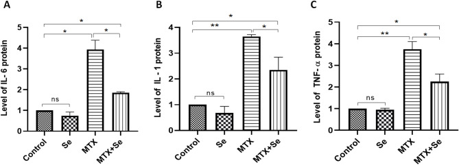 Selenium protected NMRI mice against methotrexate induced testicular injury : Selenium effectiveness in methotrexate treated testis.
