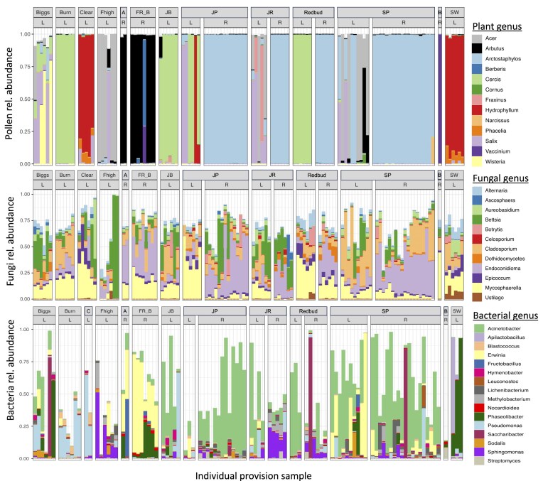 Pollen diet, more than geographic distance, shapes provision microbiome composition in two species of cavity-nesting bees.