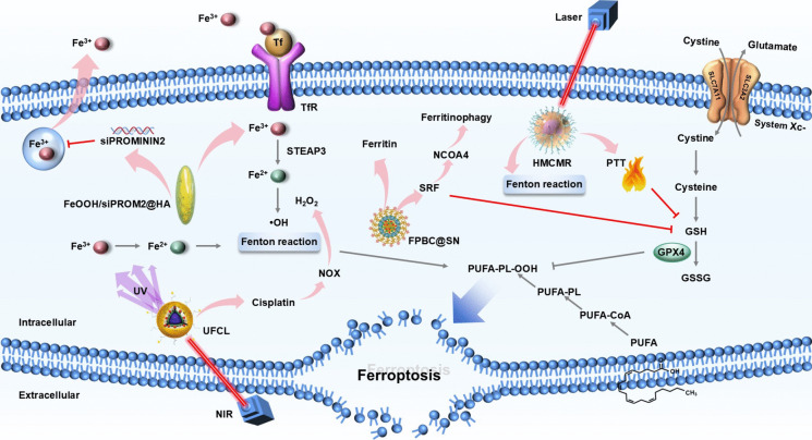 Intersection of ferroptosis and nanomaterials brings benefits to breast cancer.