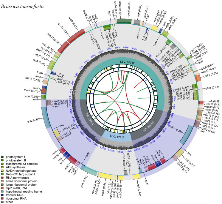 Chloroplast genome sequencing and phylogenetic analysis of <i>Brassica tournefortii</i> Gouan (Brassicaceae).