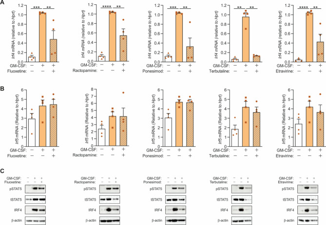 Screening of the FDA-approved drug library identifies CCL17 inhibitors that block arthritic pain.