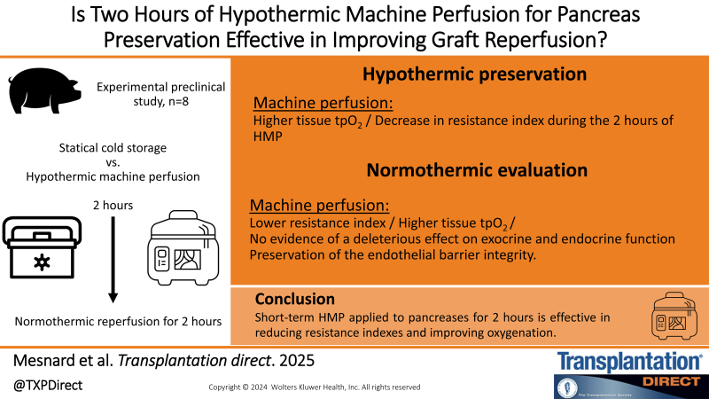 Is 2 h of Hypothermic Machine Perfusion for Pancreas Preservation Effective in Improving Graft Reperfusion?