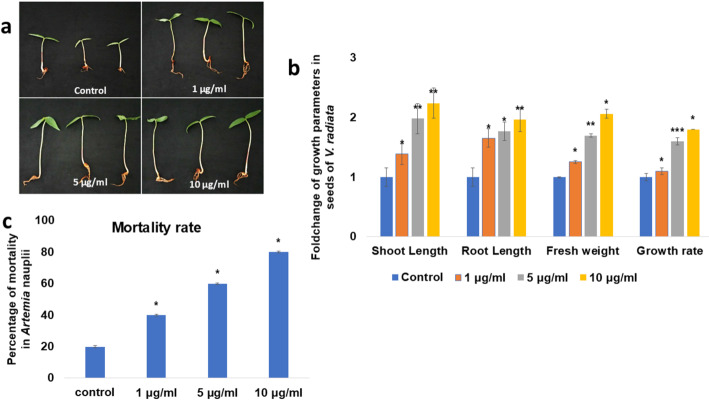 Antimicrobial potential of floral extract-decorated nanoparticles against food-borne pathogens.