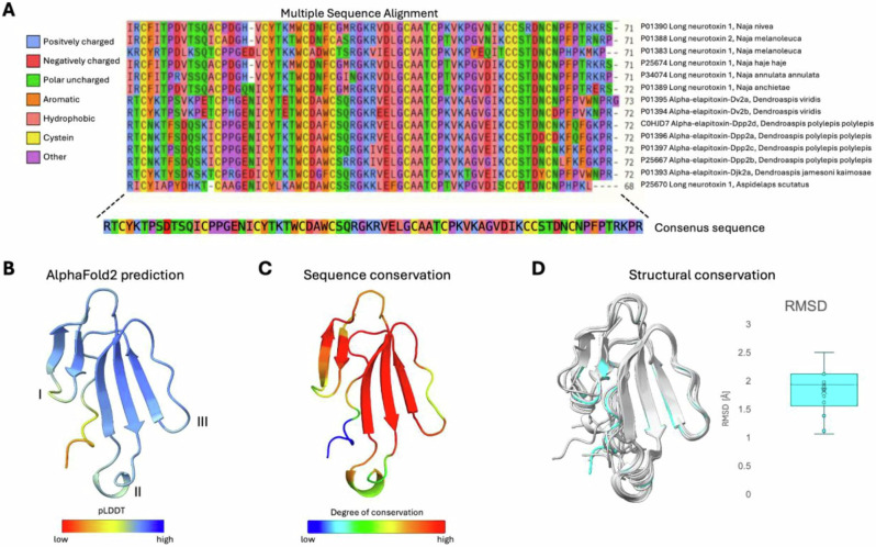 Structural mechanisms behind the neutralisation of long-chain α-neurotoxins by broadly neutralising V<sub>H</sub>Hs discovered using a consensus antigen.
