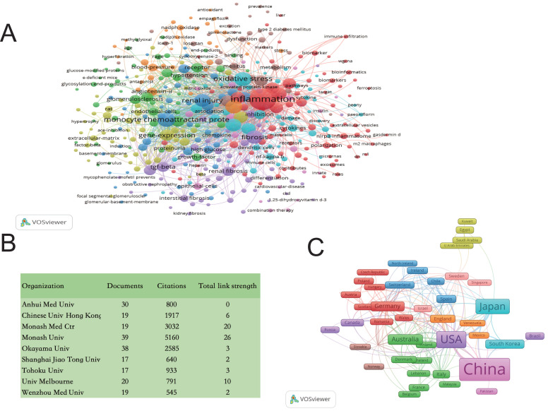 Macrophages in Focus: Key Drivers and Therapeutic Opportunities in Diabetic Kidney Disease.