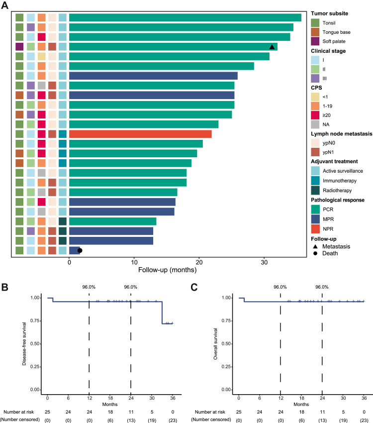 Neoadjuvant sintilimab and chemotherapy followed by transoral surgery for HPV-positive resectable oropharyngeal cancer: a single-arm, two-centre, phase 2 trial.
