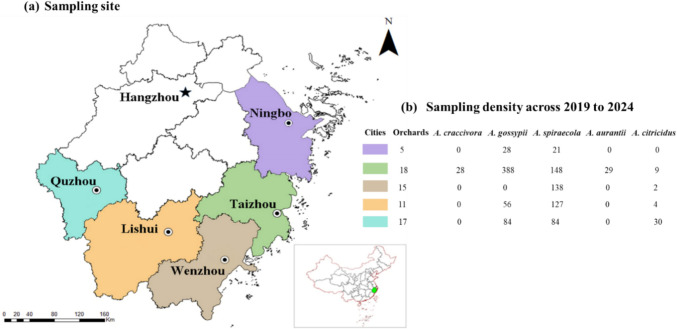 Investigating the Citrus Aphid Species in Zhejiang, China: Morphometric Analysis and Genetic Distinctions.