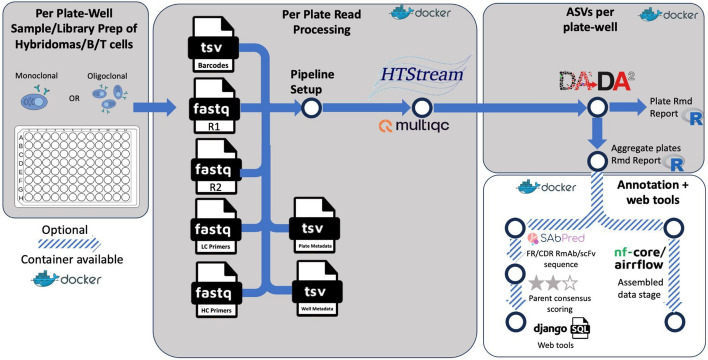 clonevdjseq: A workflow and bioinformatics management system for sequencing, archiving, and analysis of VDJ sequences from clonal libraries.