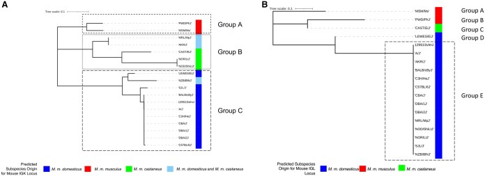 Characterization of extensive diversity in immunoglobulin light chain variable germline genes across biomedically important mouse strains.