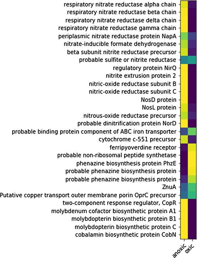 The iron metalloproteome of Pseudomonas aeruginosa under oxic and anoxic conditions.