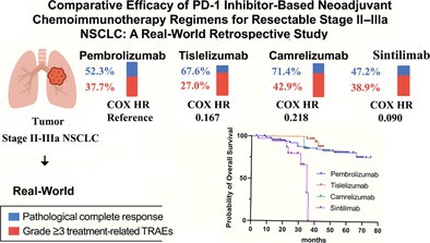 Comparative Efficacy of PD-1 Inhibitor-Based Neoadjuvant Chemoimmunotherapy Regimens for Resectable Stage II-IIIa NSCLC: A Real-World Retrospective Study.