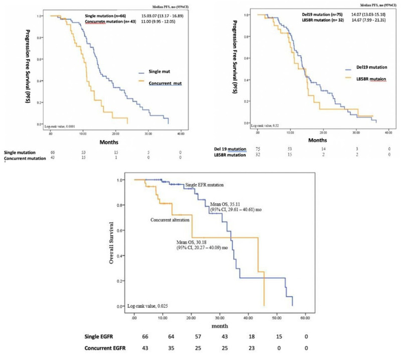 Differential Responses to Targeted Therapies in Non-Small Cell Lung Cancer: A Comparative Analysis of Outcomes in Patients with Single EGFR Mutation and Concurrent Gene Alterations.