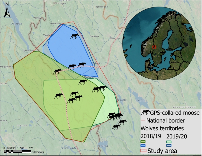 Contrasting risk patterns from human hunters and a large carnivore influence the habitat selection of shared prey.