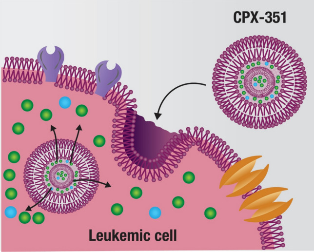 The Role of CPX-351 in the Acute Myeloid Leukemia Treatment Landscape: Mechanism of Action, Efficacy, and Safety.