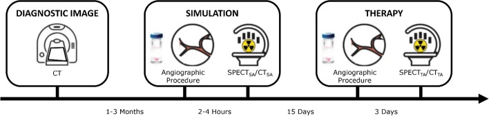 Dosimetric study on radioembolization with 166Ho poly L-lactic acid microspheres: dead time effects on prediction power.