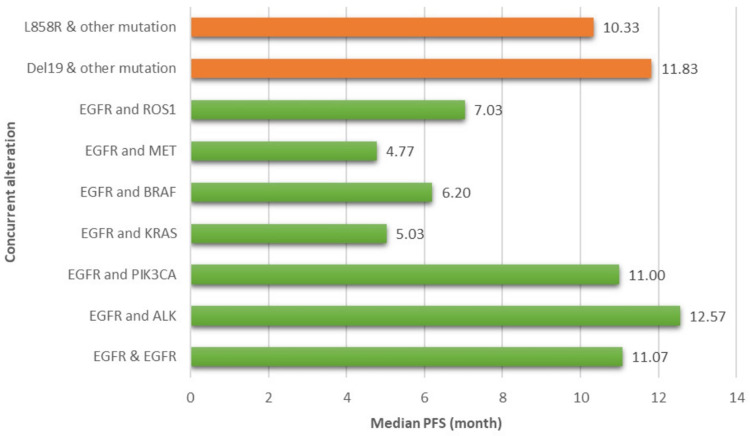 Differential Responses to Targeted Therapies in Non-Small Cell Lung Cancer: A Comparative Analysis of Outcomes in Patients with Single EGFR Mutation and Concurrent Gene Alterations.