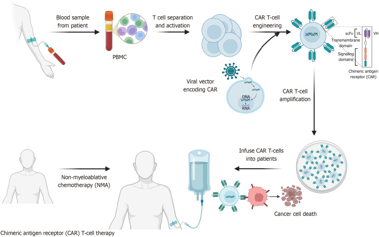 Adoptive cell therapy in colorectal cancer: Advances in chimeric antigen receptor T cells.