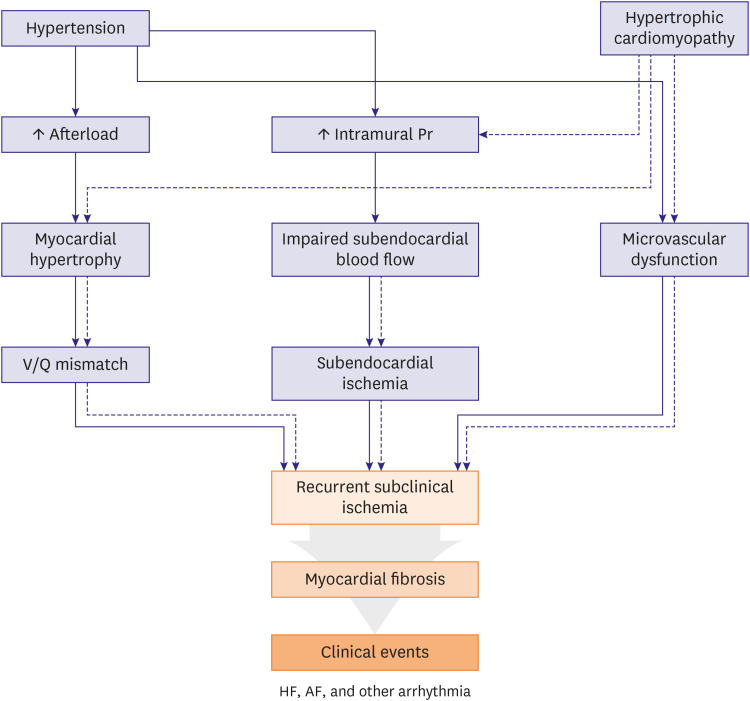 Revisiting the Prognostic Landscape of Hypertrophic Cardiomyopathy and Hypertension: The Critical Role of Left Ventricular Global Longitudinal Strain.
