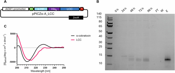 Structural mechanisms behind the neutralisation of long-chain α-neurotoxins by broadly neutralising V<sub>H</sub>Hs discovered using a consensus antigen.