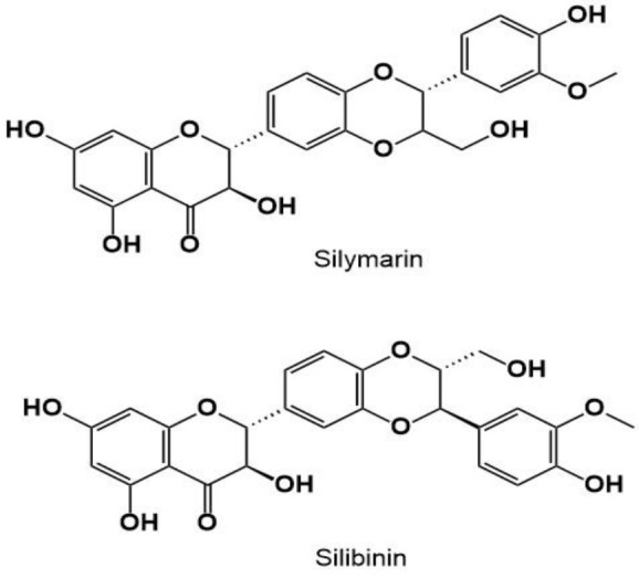 A systematic review of silymarin and silibinin mechanisms for attenuating cerebral ischemia-reperfusion injuries.