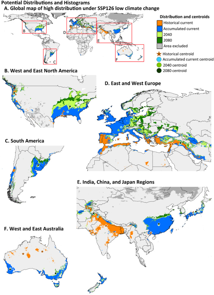 Increasing global risk of khapra beetle invasion forecasted under projected environmental conditions.