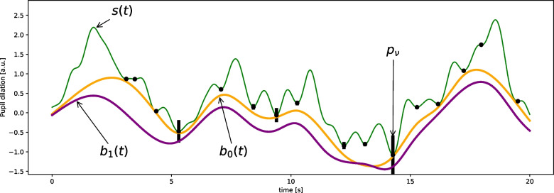A novel method for modeling tonic and phasic pupil dynamics in humans.